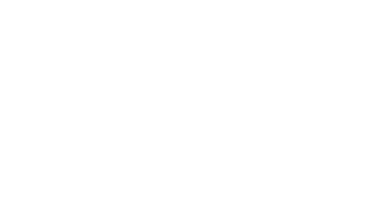 TYPE X