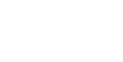 TYPE X