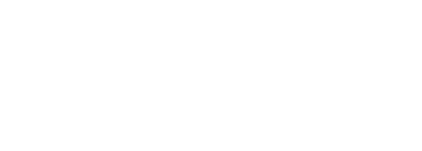TYPE Y